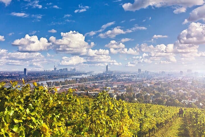 Vienna & wine
