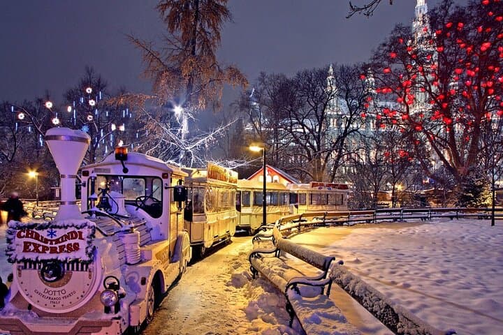 Vienna Private Full Day Tour with Tickets