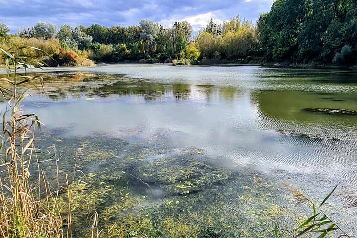Danube flood plains