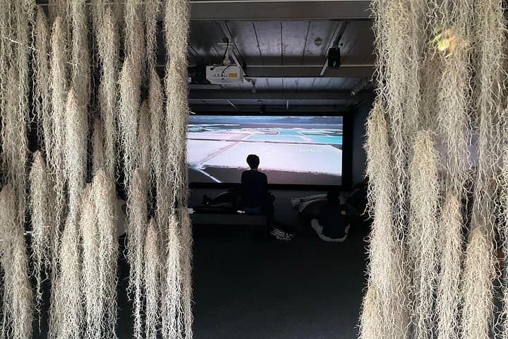 Exploring contemporary art: Private tour of museums with Tickets