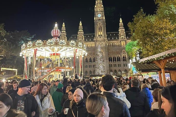 Vienna Magical Christmas Market Tour
