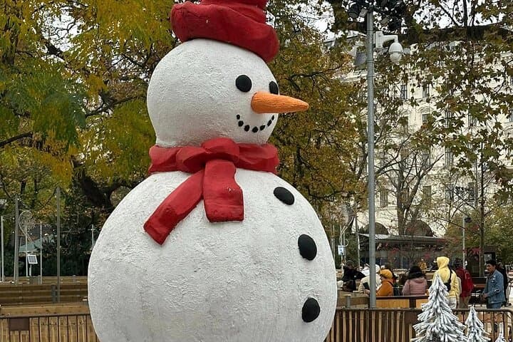 Vienna Christmas Market Tour With Local Guide (private tour)