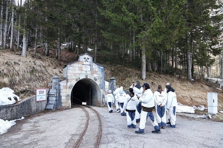 Private guided tour from Vienna to Hallstatt with Skywalk & Salt Mine Experience