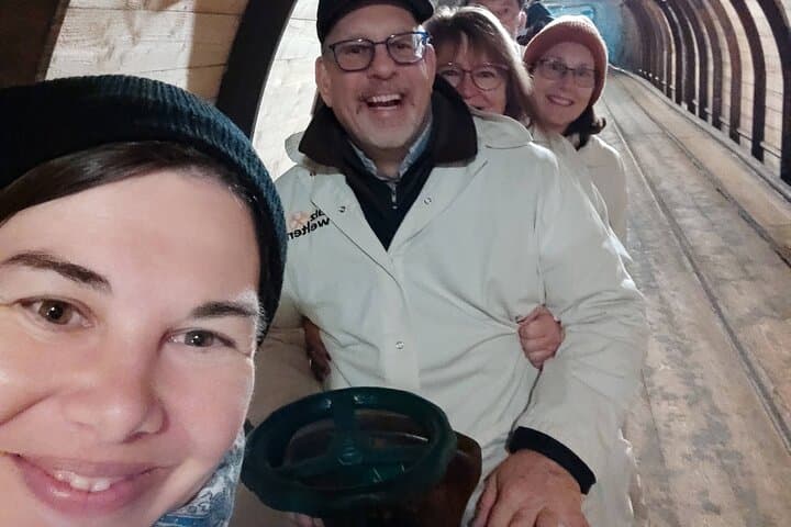 Private guided tour from Vienna to Hallstatt with Skywalk & Salt Mine Experience