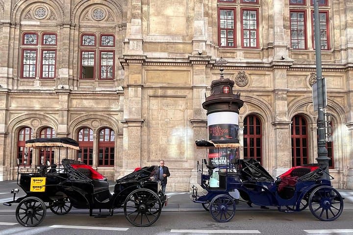Vienna: 60 min. Royal E-Carriage Sightseeing Tour with Drinks