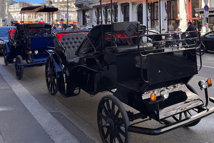 Vienna: 60 min. Royal E-Carriage Sightseeing Tour with Drinks