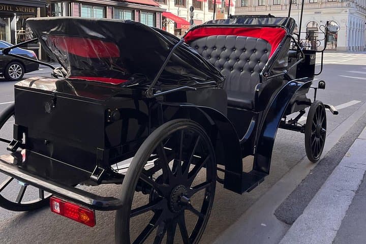 Vienna: 60 min. Royal E-Carriage Sightseeing Tour with Drinks