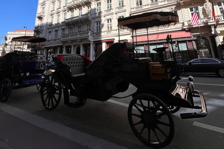 Vienna: 60 min. Royal E-Carriage Sightseeing Tour with Drinks