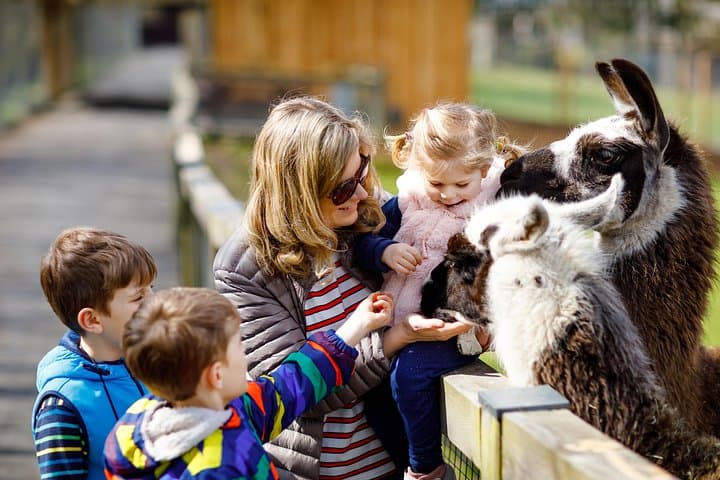 Family Tour Schonbrunn Children Museum Vienna with Transport