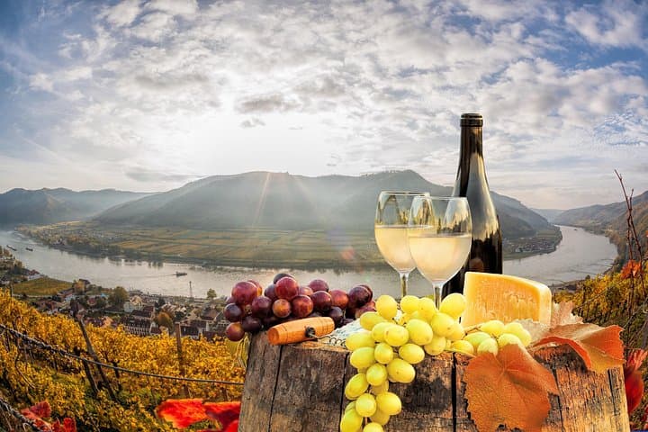 Vienna: Danube Valley Tour with Melk, Dürnstein with wine tasting and boat.
