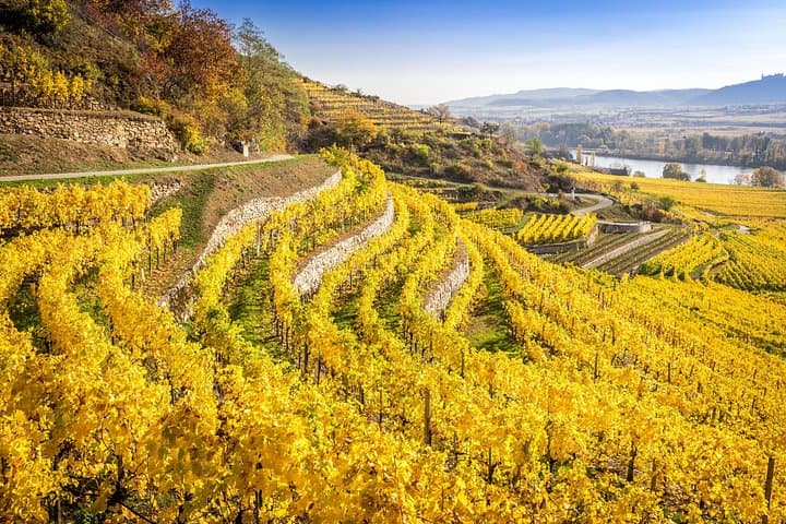 Vienna: Danube Valley Tour with Melk, Dürnstein with wine tasting and boat.