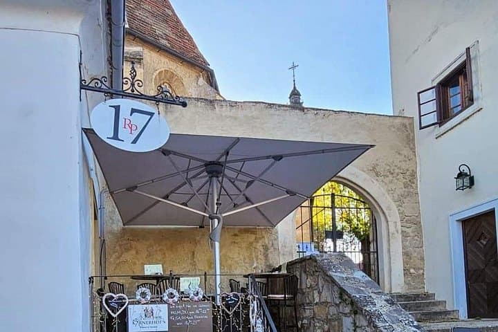 Vienna: Private tour Neusiedler See, Rust (wine tasting), Purbach