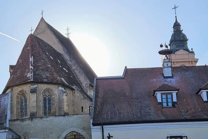 Vienna: Private tour Neusiedler See, Rust (wine tasting), Purbach