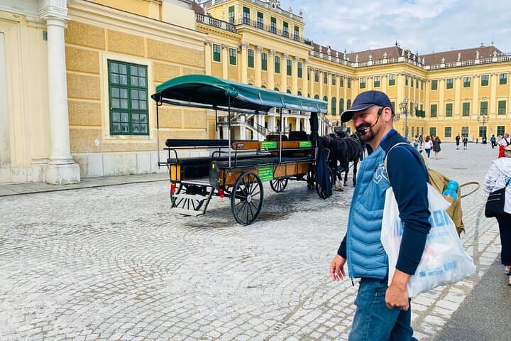 Guided Walking Tour of Schonbrunn Palace in Vienna