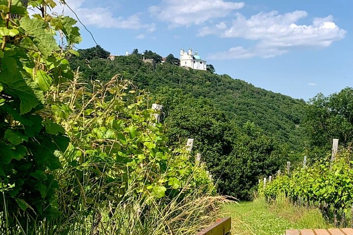 Leopolds Mountain