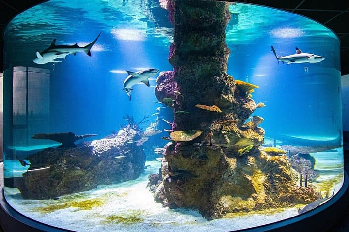 Private tour for children and teenagers through Vienna
