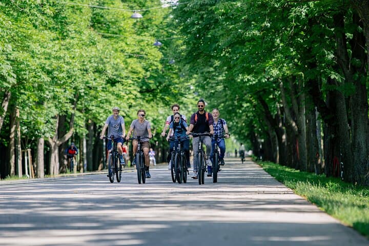 Vienna Small Group E-Bike Tour
