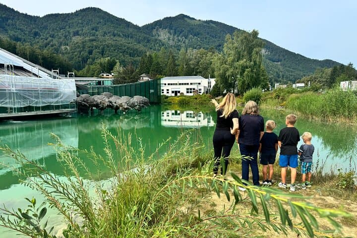 Public 6 hour tour to Hallstatt from Salzburg