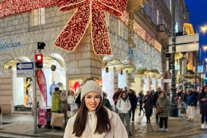 Vienna Christmas Magic Private Guided Market Tour