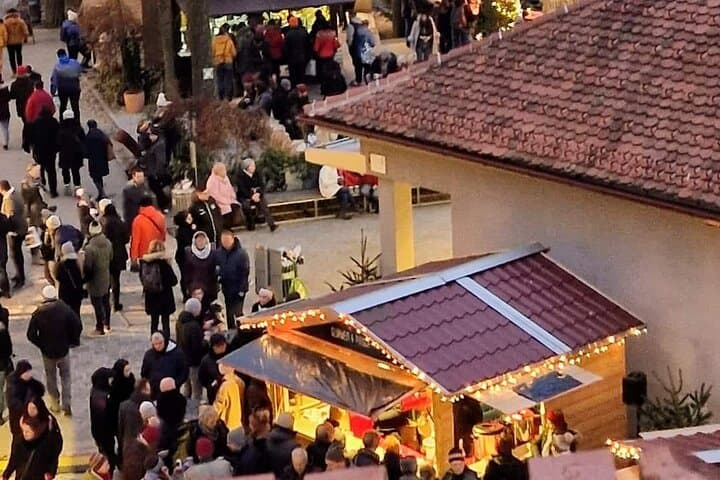 Vienna: Private tour to Graz