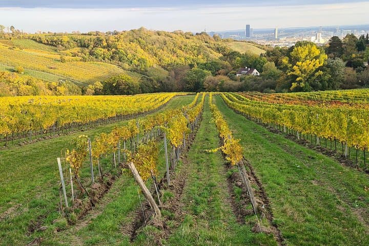 View from wine tavern