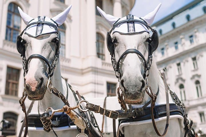 Vienna's Hidden Gems: A Self-Guided Imperial Adventure