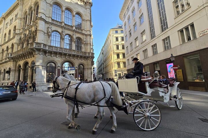 Highlights of Vienna in a Historical & Cultural Walking Tour