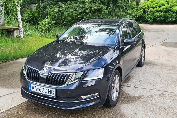 Private transfer from Vienna to Munich with sightseeing stop