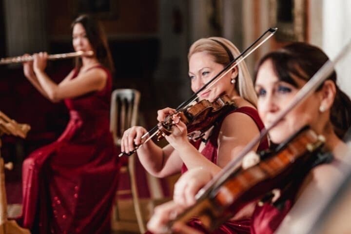 Vienna Classical Concert Mozart and Strauss at Palais Alte Borse