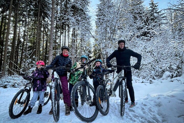 Scenic Innsbruck City and Mountain eBike Tour