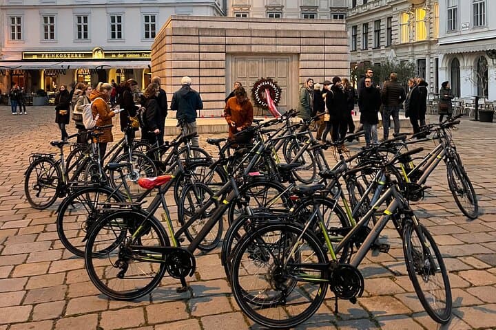 Bicycle tour - Vienna Complete