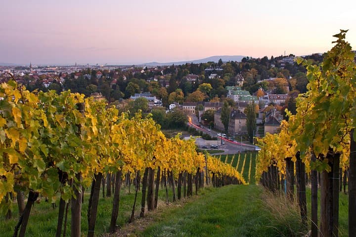 Private Transfer from Vienna to Slovakia Hungary and Austria