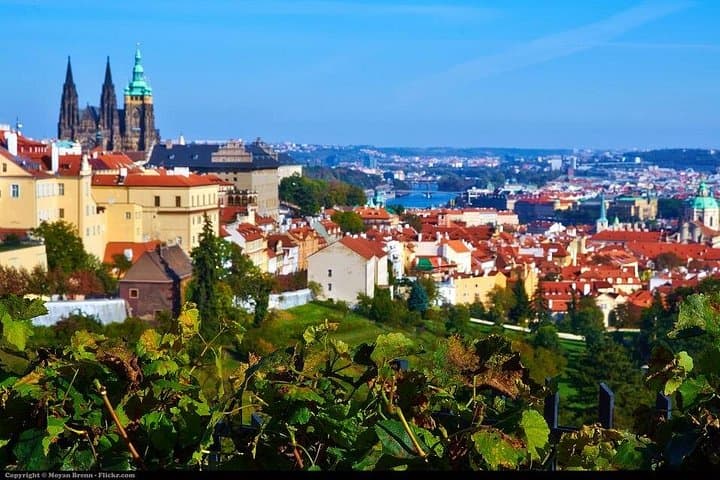 Private transfer from Vienna to Prague