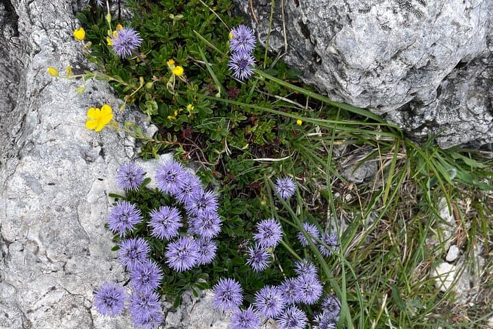 A Guided Hike in The Austrian Dolomites, Innsbruck
