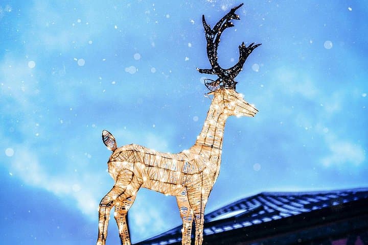 Vienna Christmasmarket Walk: 5 Markets & Old Town in 3h (DE/EN)