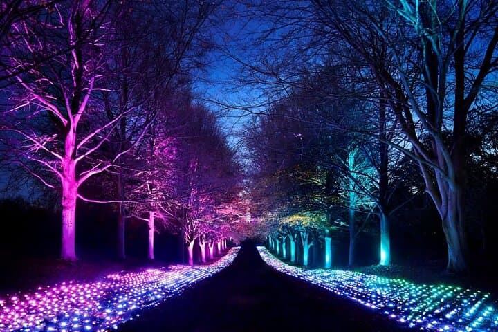 Christmas Magic in the Vienna Woods: Abbey, Baden, Advent Markets