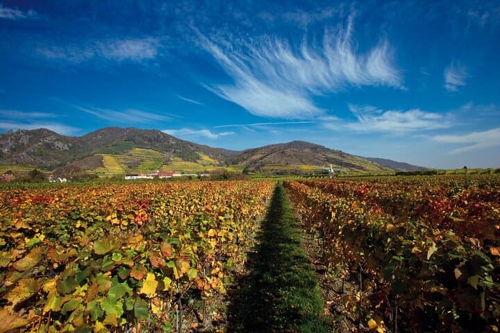 Cesky Krumlov and Wachau Danube Valley Tour from Vienna