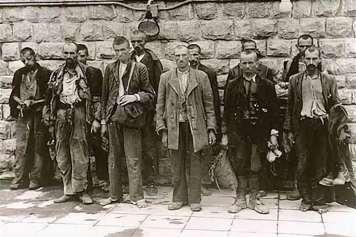 Private Day Trip to Mauthausen Concentration Camp from Vienna