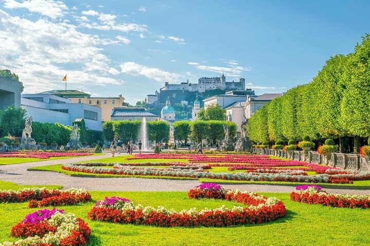 Blooming Mirabelle Gardens