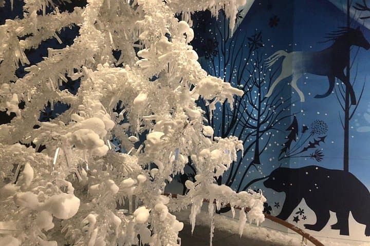 Private Tour in Swarovski from Salzburg ending in Innsbruck