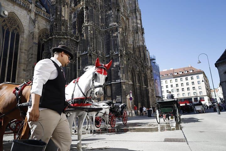 Vienna Private City Tour: Palaces, Churches & Sacher Cake Option