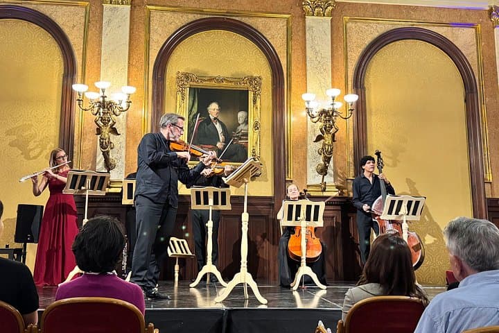 Vienna Private Classical Music Tour: Museum Entry & Concert