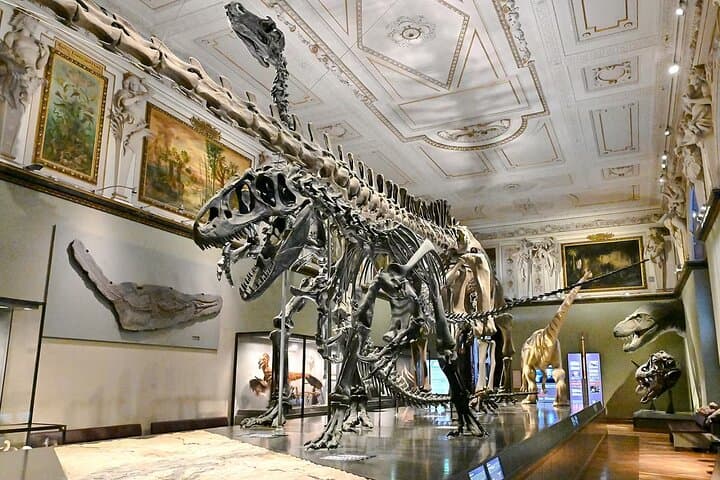 Natural History Museum Vienna Entry Tickets