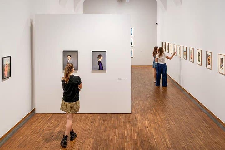 Albertina Museum Entry Tickets