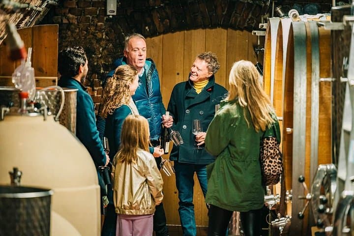 Behind-the-scenes visit to a Wachau wine cellar with your private guide.