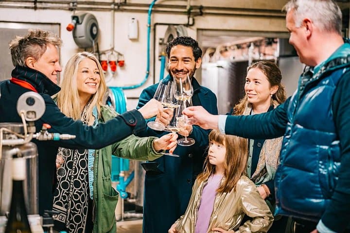 Toasting Austrian wine straight from the source in a working winery.