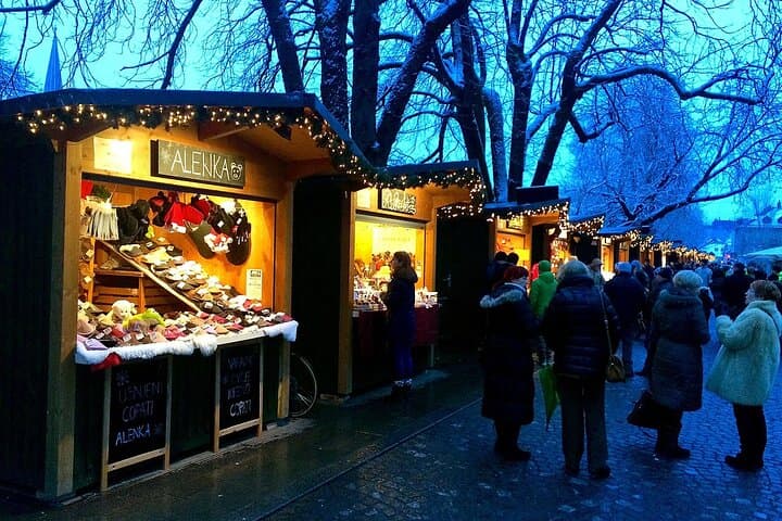 Private Day Trip: Vienna to Ljubljana