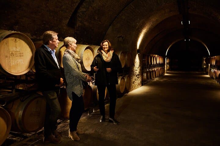 Barrique cellar / cellar tour