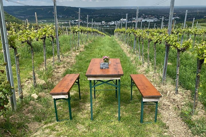 Exclusive Tasting venue in the vineyards.