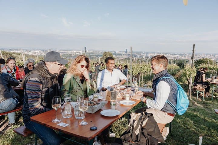 Tasting wines in a typical Buschanschank (wine tavern)